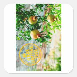 Sticker Carré Rosh Hashanah, G’Mar Chatima Tova, Yom Kippour 578