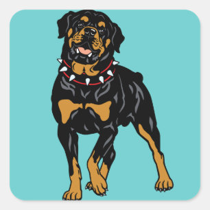 Sticker Carré rottweiler