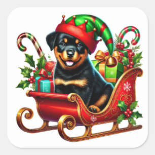 Sticker Carré Rottweiler dans le cadeau de Noël Sleigh
