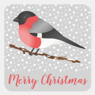 Sticker Carré Rouge Eurasien Bullfinch Oiseau gris Noël d'hiver