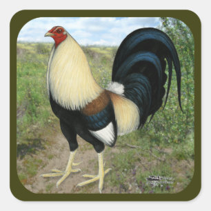 Sticker Carré Route Pays Gamecock