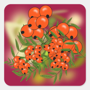 Sticker Carré Rowan