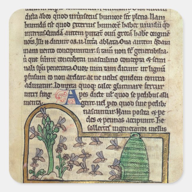 Sticker Carré Roy Page de texte avec illustration (Devant)