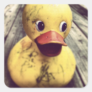 Sticker Carré Rubber Jaune Ducky a besoin d'un bain !
