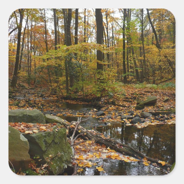 Sticker Carré Ruisseau de Fall avec reflet au parc Laurel Hill (Devant)