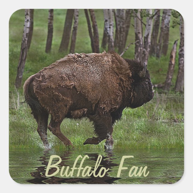Sticker Carré Running Buffalo & Forest, Bison-lover's Design (Devant)