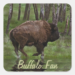 Sticker Carré Running Buffalo & Forest, Bison-lover's Design