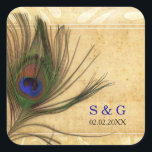 Sticker Carré Rustique Peacock Feather mariage faveurs autocolla<br><div class="desc">Rustic Peacock mariage enveloppe autocollants</div>