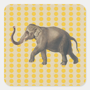 Sticker Carré Saffron Spice Moods Doses avec éléphant