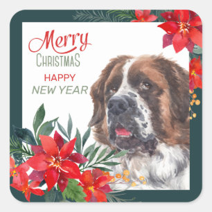 Sticker Carré Saint Bernard Chien Poinsettie frontière Noël