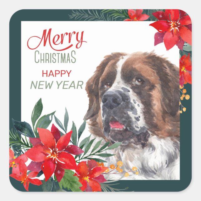 Sticker Carré Saint Bernard Chien Poinsettie frontière Noël (Devant)