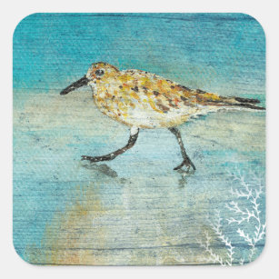 Sticker Carré Sandpiper Beach Shorebird Weathered Artwork