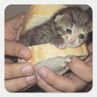 Sticker Carré sandwich au chat triste