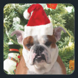 Sticker Carré Santa Hat Bulldog Christmas Tree Snowman boîte cad<br><div class="desc">Mignonne photo Bulldog avec boîte cadeau de Noël Tree Snowman en arrière - plan. Un cadeau parfait pour Noël !</div>