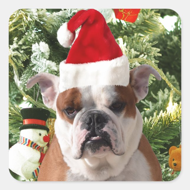 Sticker Carré Santa Hat Bulldog Christmas Tree Snowman boîte cad (Devant)