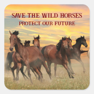 Sticker Carré Sauvez Les Chevaux Sauvages