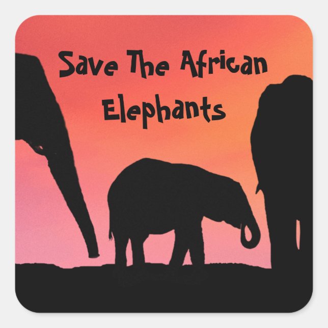Sticker Carré Sauvez les éléphants africains (Devant)