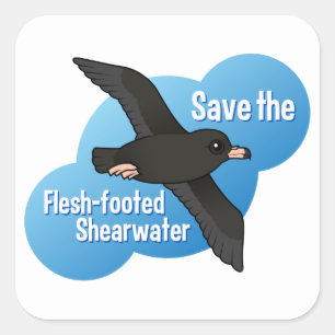 Sticker Carré Sauvez Shearwater Chair-aux pieds