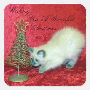 Sticker Carré Savannah's Playful Christmas - Kitten / Chat