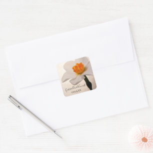 Sticker Carré Sceaux Mariage Daffodil à ressort blanc