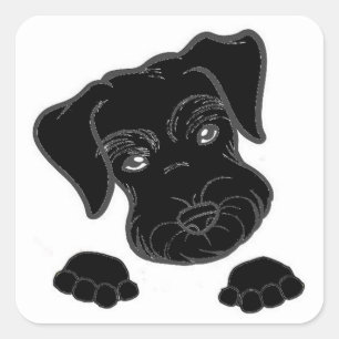 Sticker Carré schnauzer miniature noir peeeer