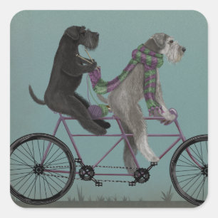 Sticker Carré Schnauzer Tandem