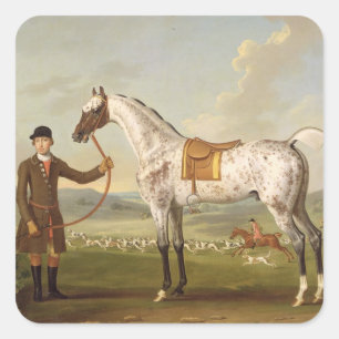 Sticker Carré Scipio, Colonel Roche's Spotted Hunter, vers 1750 