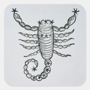 Sticker Carré Scorpion (le scorpion) une illustration du 'P