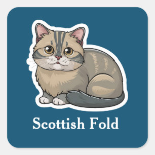 Sticker Carré Scottish Fold