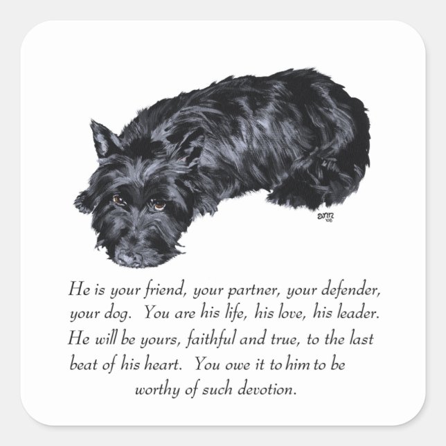 Sticker Carré Scottish Terrier Keepsakes - MALE (Devant)