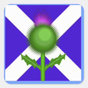 Sticker Carré Scottish Thistle and Flag,