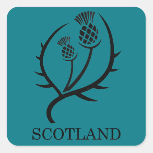 Sticker Carré Scottish Thistle Scotland Travel Cadeau