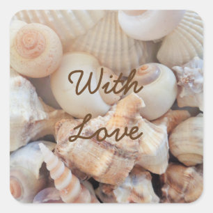 Sticker Carré Sea Shells, Summer Beach Exotic Troptic Romantic