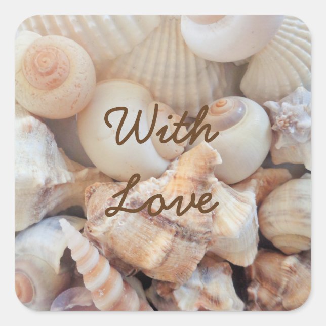 Sticker Carré Sea Shells, Summer Beach Exotic Troptic Romantic (Devant)