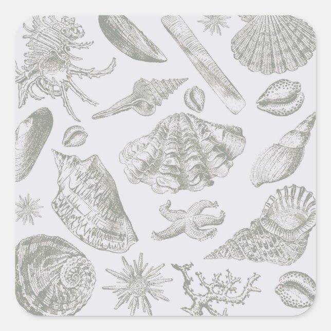 Sticker Carré Seashell Soft Antique Art Beach Shops (Devant)