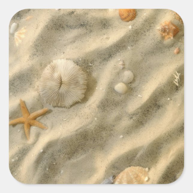 Sticker Carré Seashells (Devant)
