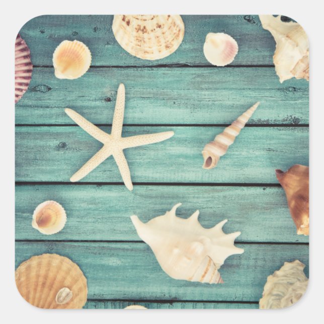 Sticker Carré Sélection Des Coquillages (Devant)
