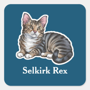 Sticker Carré Selkirk Rex