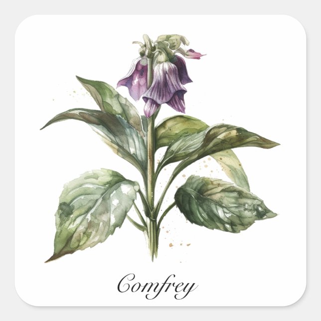 Sticker Carré Serene Watercolor Comfrey, personnalisée (Devant)