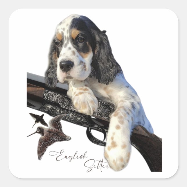 Sticker Carré Setter anglais, mignon chiot (Devant)