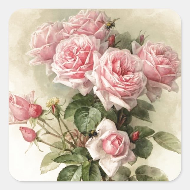 Sticker Carré Shabby Chic Rose Roses victoriens (Devant)
