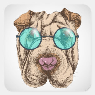 Sticker Carré Sharpei dans les lunettes de soleil