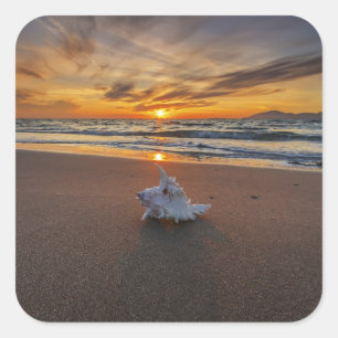 Sticker Carré Shell à la plage à l'île du coucher du soleil  