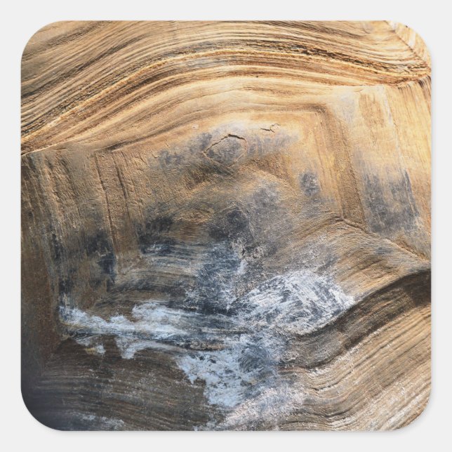 STICKER CARRÉ SHELL GÉANT TORTOISE (Devant)