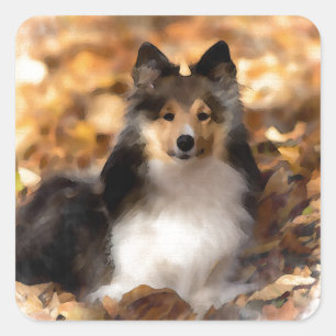 Sticker Carré Sheltie Shetland Sheepdog Art Peinture