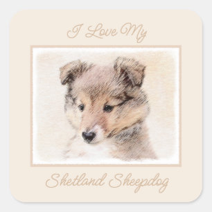 Sticker Carré Shetland Sheepdog Puppy Peinture Chien original ar