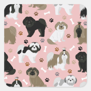 Sticker Carré Shih Tzu Chiens Paws and Bones
