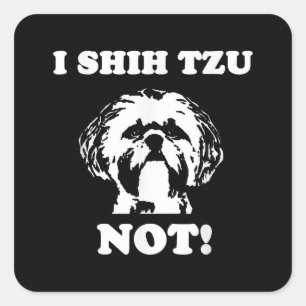 Sticker Carré Shih Tzu Lover   I Shih Tzu Pas Drôle Chien