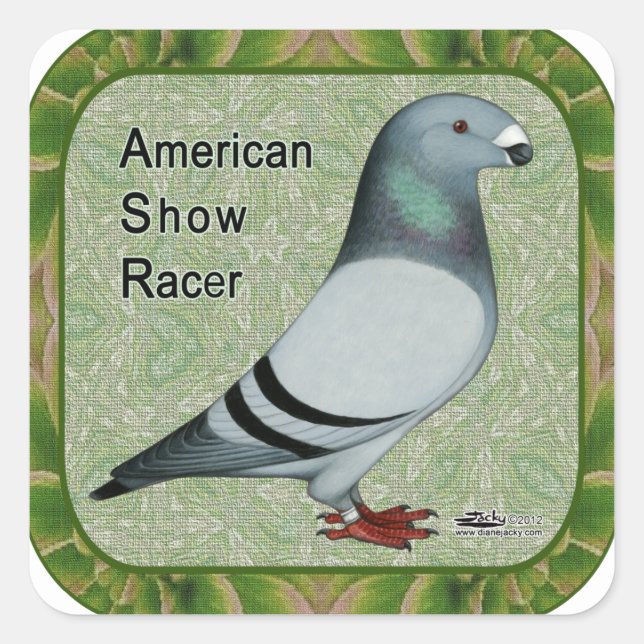 Sticker Carré Show Racer Framed (Devant)