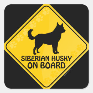 Sticker Carré Sibérie Husky Xing